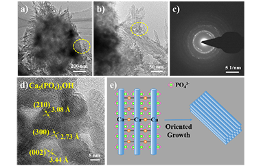 A Self-growing Porous Calcium-based Adsorbent Derived from Biowaste for Efficient Wastewater Purification 2011-3173